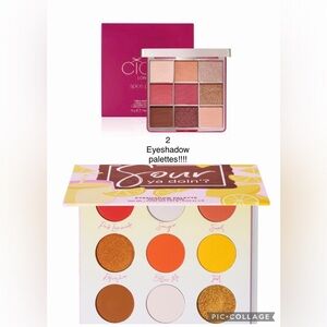 2 Eyeshadow Palettes!!